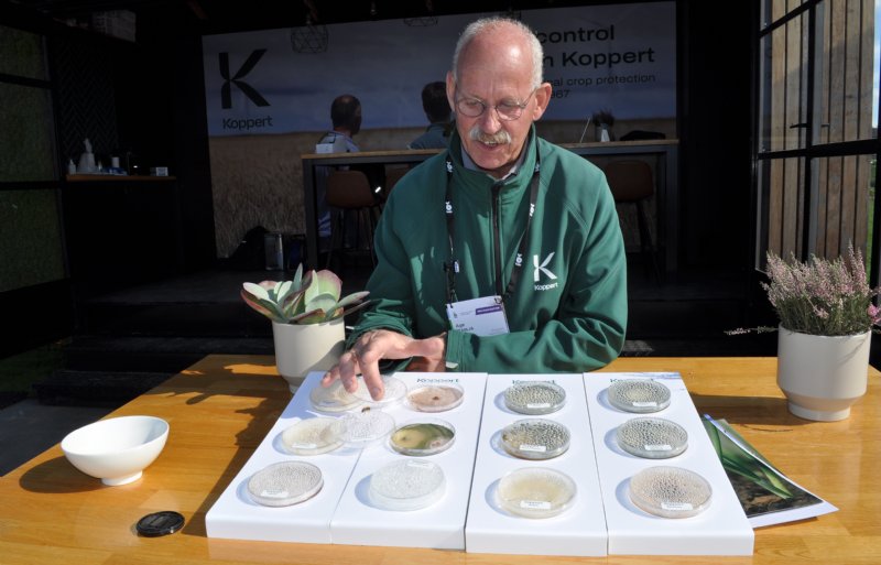 Age Tanja van Koppert laat zien hoe goedaardige schimmels en bacteriën de kwaadaardige kunnen overwinnen.