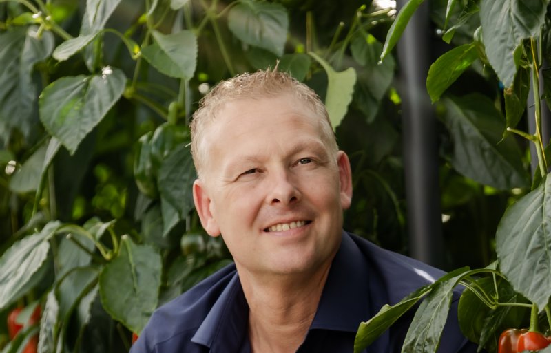 Arco Vreugdenhil, paprikateler in Middenmeer