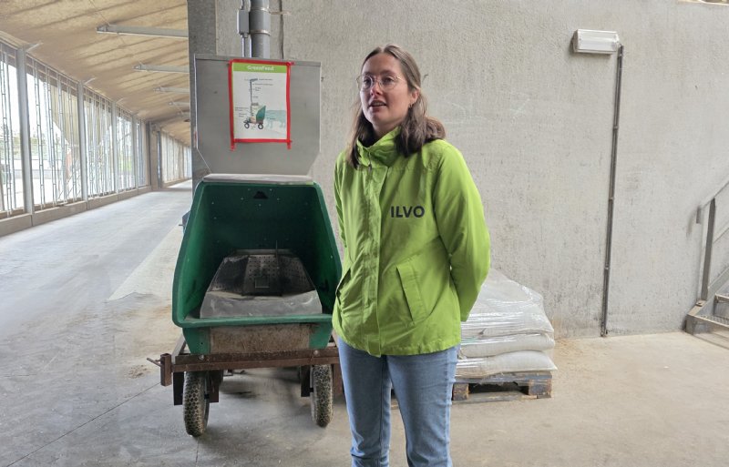 Met de GreenFeed-unit meet onderzoeker Joni Van Mullem de methaanuitstoot van koeien.