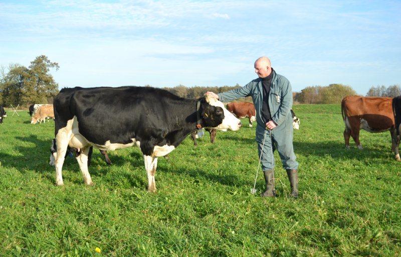 Peter Oosterhof: 'In ons geval heeft de productiedaling gelukkig niet geleid tot minder inkomsten. Wij zijn zelfs beter gaan verdienen.'