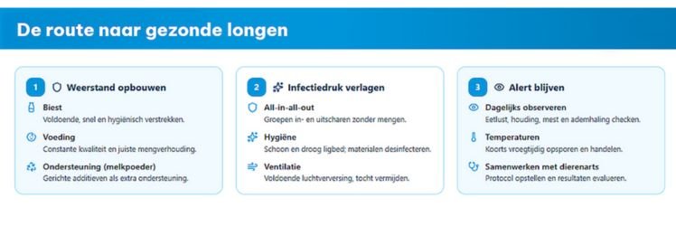 Route naar gezonde kalveren