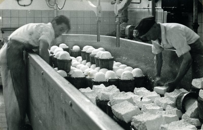 Een terugblik naar 1950: kaasmakers aan het werk in de fabriek.