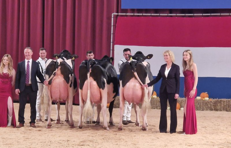 De kampienen bij zwartbont oud, met Trienke Elshof namens FrieslandCampina.