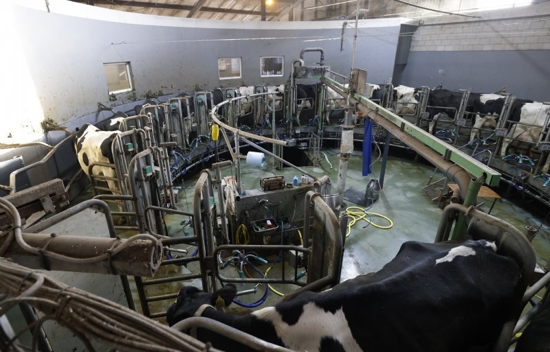 Verlichting speelt een belangrijke rol, ook in de rotorstal.