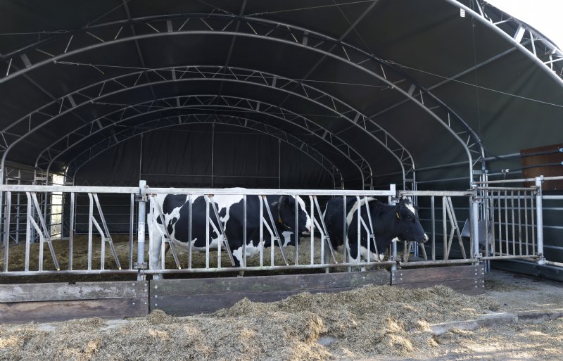 Ook voor het jongvee heeft de familie Van de Breemer moderne huisvesting gerealiseerd.