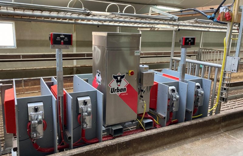 Los opvangen van kalveren kan goed met een speenemmer met een speen per kalf.