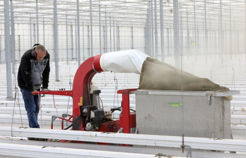Met een enorme stofzuiger verwijdert een medewerker van Johan van der Burg stof- en bladresten uit de kassen van de paprikateler.