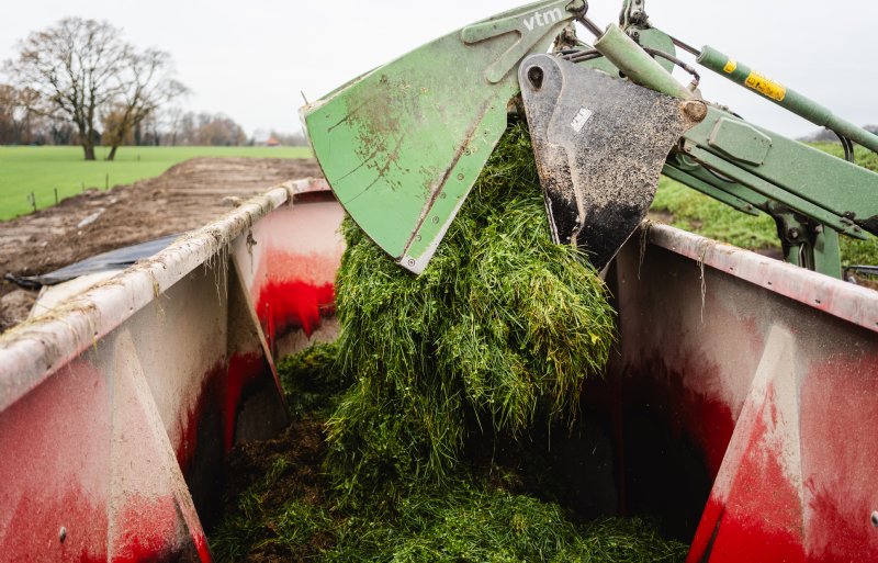 De voerverliezen op het melkveebedrijf liggen lager sinds meer vers gras wordt benut.
