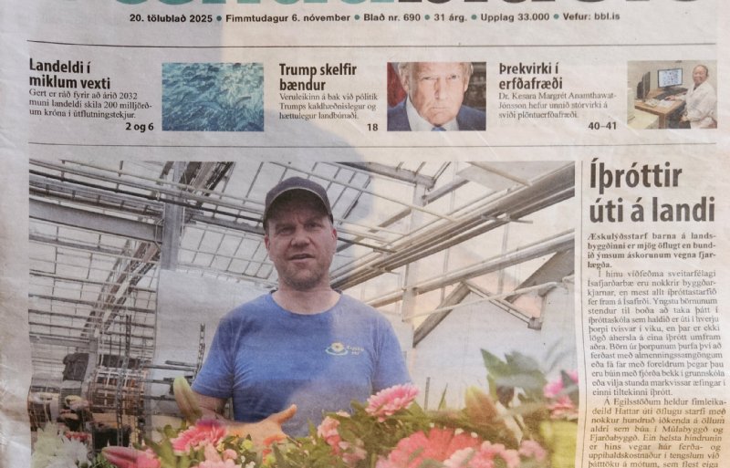 Ook in de lokale media verdedigt Sæland de belangen van de IJslandse glastuinders.