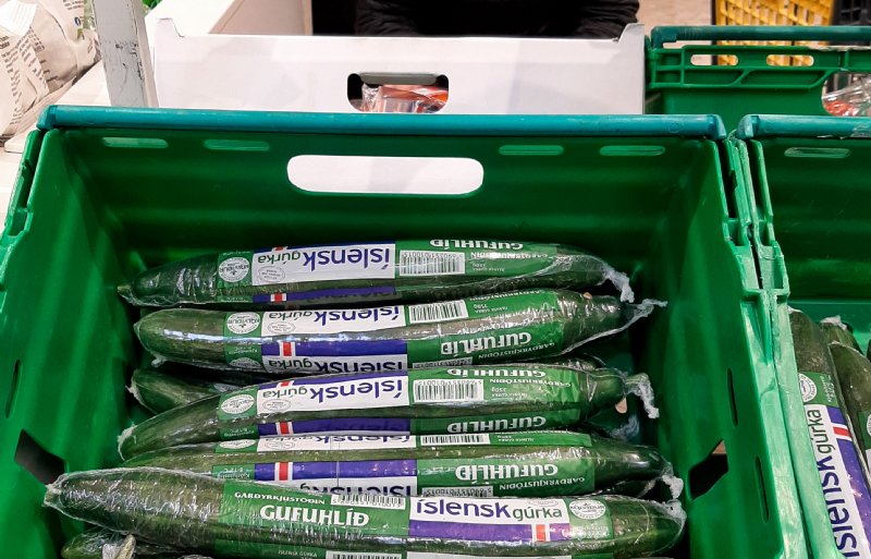 Binnenlandse komkommers zijn populair in de supermarkten, maar wel prijzig met 3,76 euro per stuk.