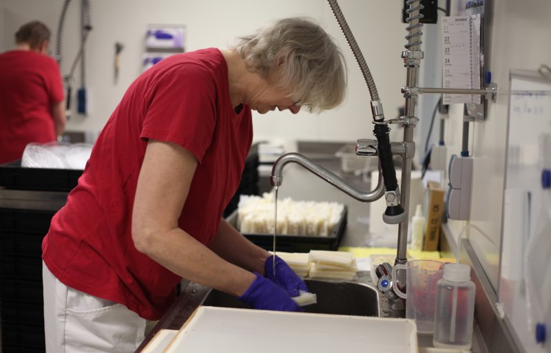 Een kweekmedewerker van De Groene Vlieg in het Flevolandse Dronten spoelt de eitjes af.