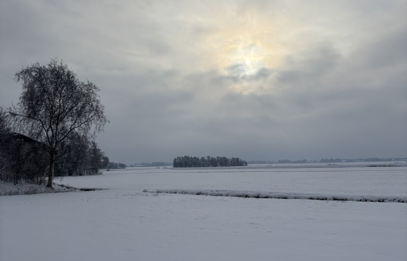 Een sfeervolle plaat uit het Friese Nijelamer.