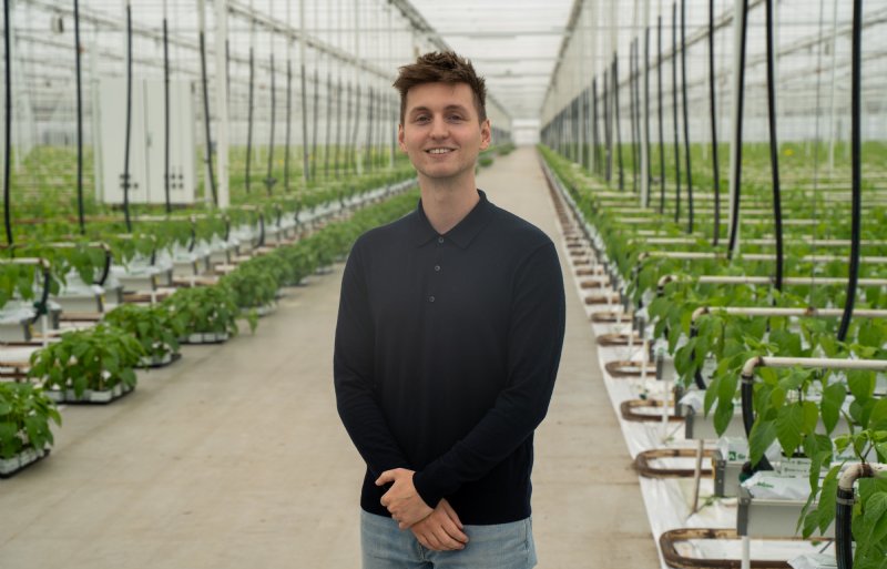 Nick Petrovic uit Breda werkt als financieel analist bij paprikakwekerij 4evergreen. Na zijn studie Finance & Control en detacheringswerk besloot hij zonder agrarische kennis in de sector te gaan werken. Als analist maakt hij data inzichtelijk tussen verschillende locaties.