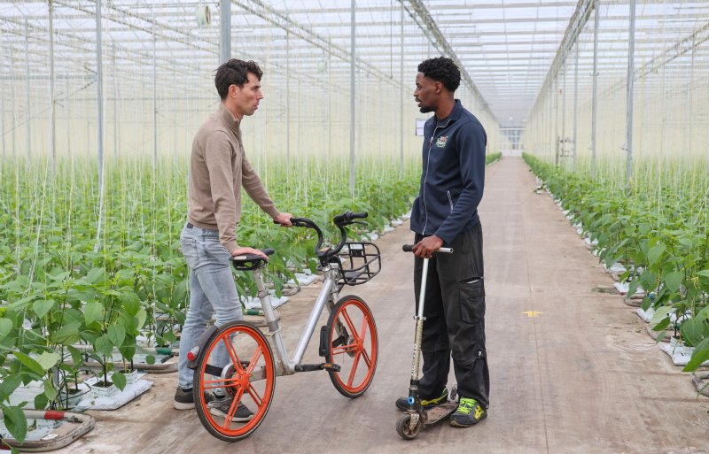 Arnaud van Dijk in gesprek met teeltmanager Takura Sunguro.