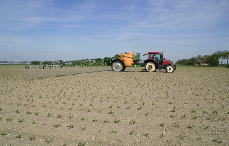 Op het proefveld in Dordrecht, dat binnen een praktijkveld is aangelegd, staat de onkruidbestrijding centraal.