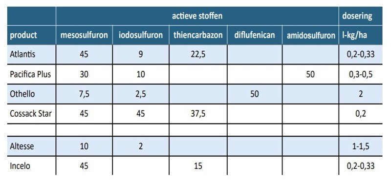 Bayer heeft een brede range aan voorjaarsherbiciden in wintertarwe.