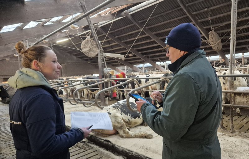 Stamboekinspecteur Leo Teunis van CRV bespreekt met de melkveehouder waar ze vandaag naar gaan kijken.