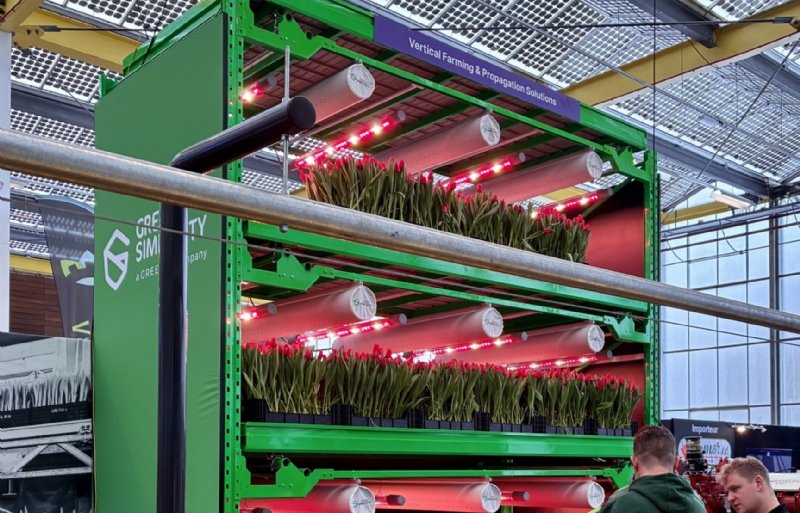 Een schaalbaar en modulair teeltsysteem.