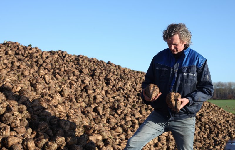 Chris Antuma, akkerbouwer in het Overijsselse Dedemsvaart.