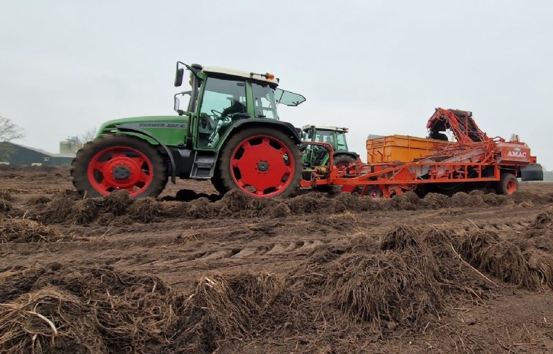 Met eigen materieel zeven en laden Christ en Stan Ermers uit het Brabantse Mill de rijen valeriaanwortels.