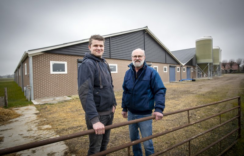 Matthijs en Ben van der Meer, kalverhouders in Doornspijk