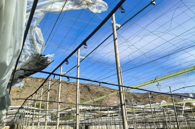 Windhozen en rukwinden hebben folie en ramen losgerukt. Daardoor staan de gewassen onbeschermd en zijn er forse oogstverliezen in het Spaanse tuinbouwgebied Almería.
