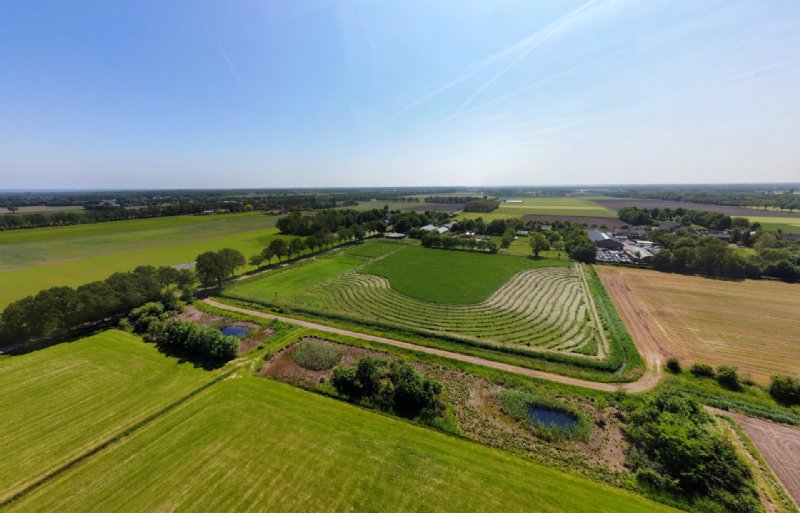 Waterzuiverende Wijstboerderij:  ruimte voor landbouw, water en natuur.