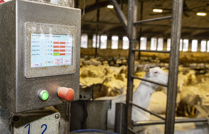 Krachtvoer wordt automatisch en per geit verstrekt.