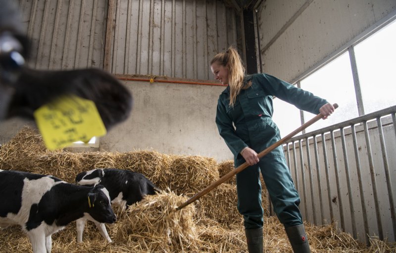 Lisette in 't Hout is lid van de jongerenraad van FrieslandCampina.