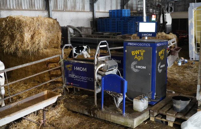 De kalverdrinkautomaat kan met vier boxen honderd kalveren voeren.