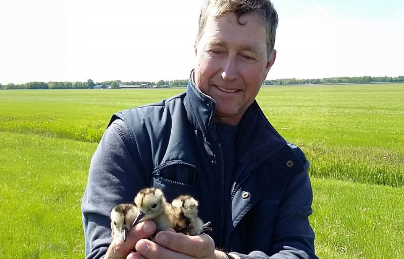 Henk Jan Ottens, onderzoeker bij Kenniscentrum Akkervogels