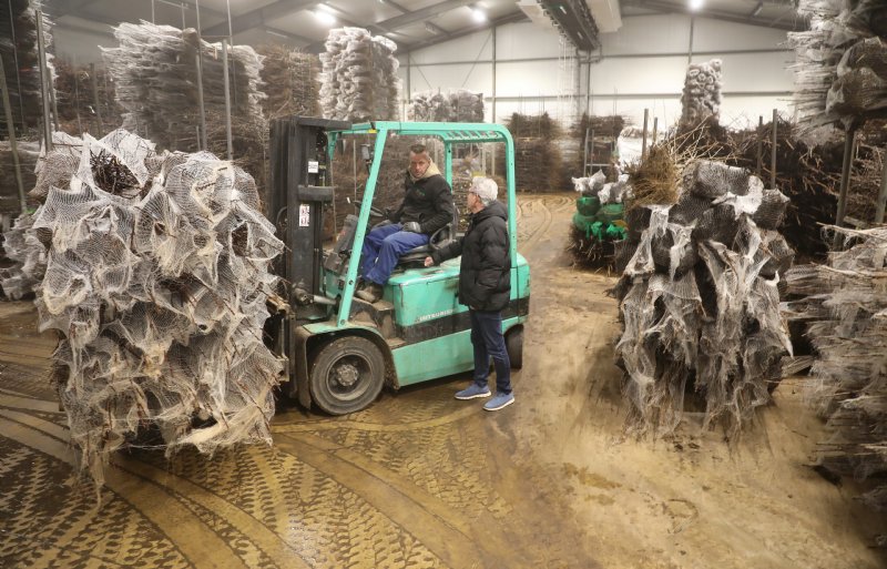 Boomkweker Han Fleuren in Koningslust (LB)