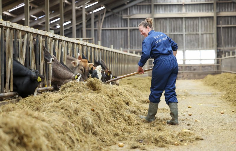 Melkveehouder Sabine de Boer in Ferwert (FR)