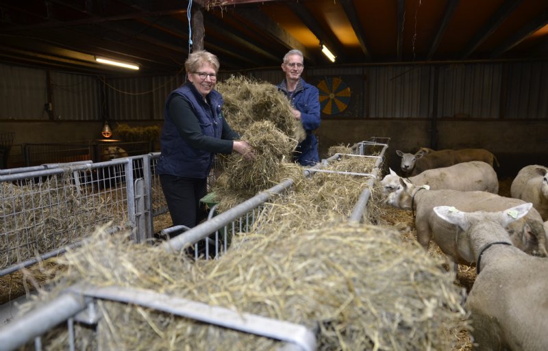 Veehouders Henriëtte en Henk Berkvens in Ospel (LB)