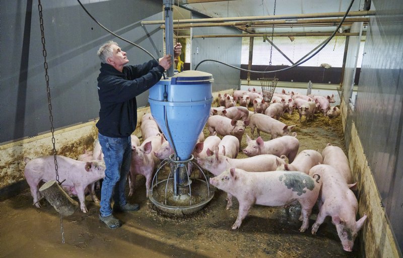 'Biologisch boeren past bij wie ik ben', zegt Van de Ven.
