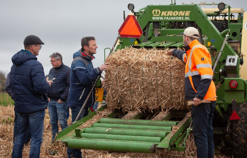 Loonwerker Michiel Jakobs (rechts) is voorstander van het persen van miscanthus in balen.