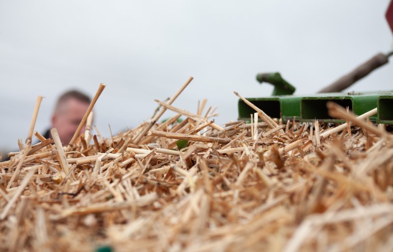Er is vraag naar zowel lange- als korte miscanthusvezels.