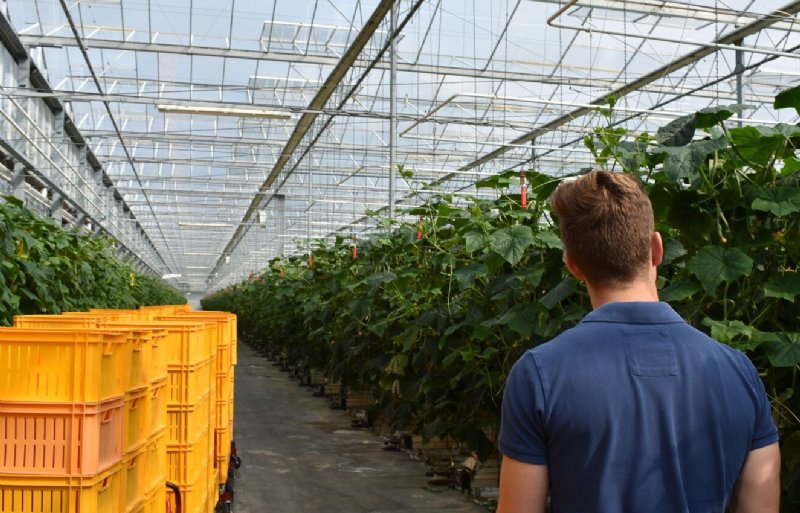 Tijn Aarts (op de rug) neemt bezoekers mee langs paden met groenten.
