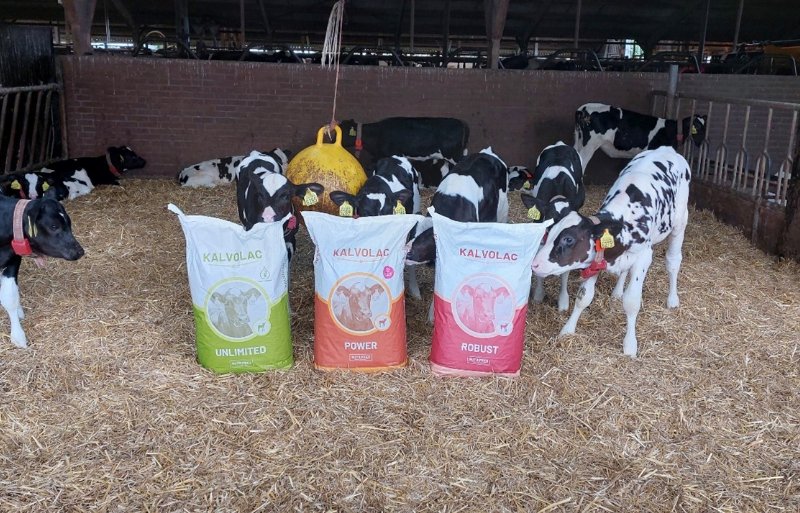 Achter elk zak melkpoeder zit een nauwkeurig gecontroleerd productieproces.