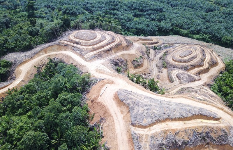 Afgravingen en ontbossing voor palmolieplantages veranderen het landschap in Indonesië.