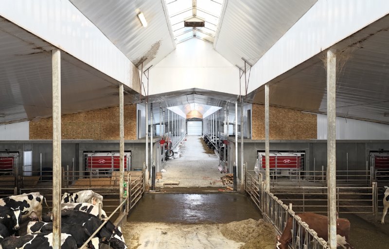 Familie Wilpshaar houdt 380 melkkoeien op een areaal van 240 hectare.