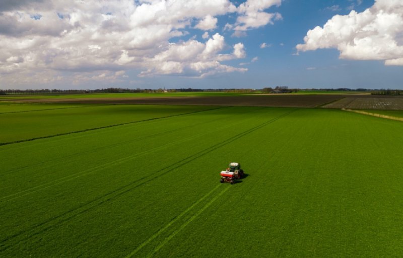 Sulfaat is de direct plantopneembare zwavelvorm en speelt een sleutelrol in een efficiënte stikstofopname en eiwitvorming.