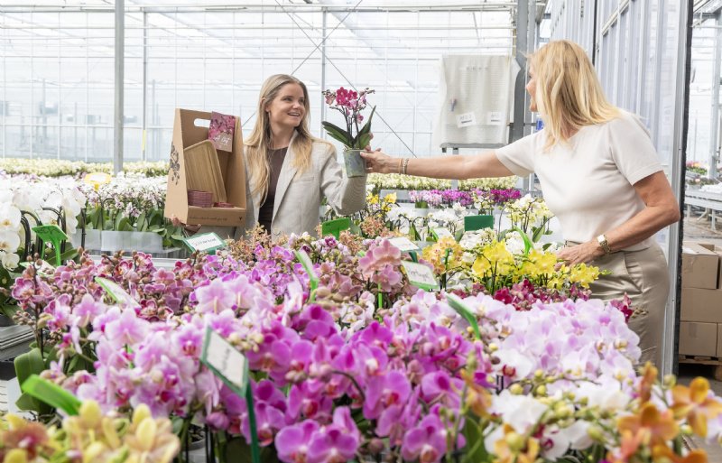 In verschillende tuincentra verkoopt OK Plant onder de overkoepelende naam Kolibri Company orchideeën, succulenten en bijpassend keramiek.
