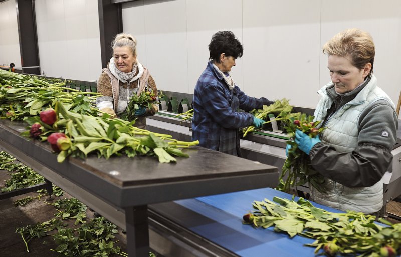 Bij Molenaar Agriculture vindt een strenge controle plaats, om zo een optimale kwaliteit te behouden.