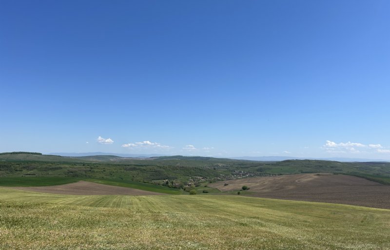 In Roemenië is genoeg ruimte en er wordt voldoende voer geteeld om zelfvoorzienend te worden in de vraag naar varkensvlees.