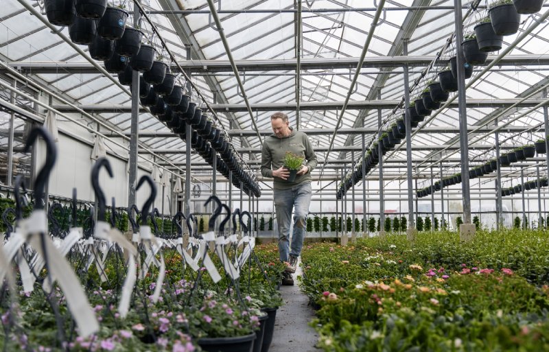Jaco de Hoog is eindverantwoordelijk voor de kwaliteit van de planten.