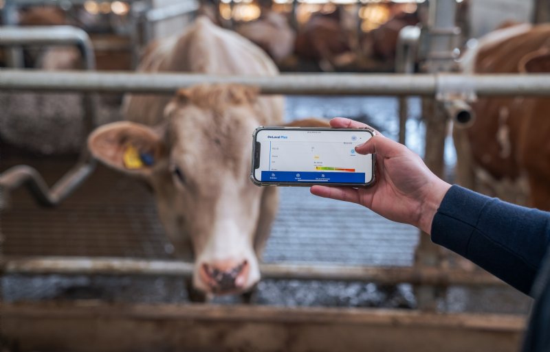 DeLaval Plus is een managementsysteem met kunstmatige intelligentie dat zowel kan voorspellen als analyseren.
