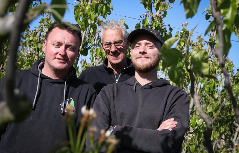 Jos Fischer en zijn zoons Joey en Boy hebben een fruitbedrijf met 120 hectare peren in het Noord-Hollandse Westwoud.