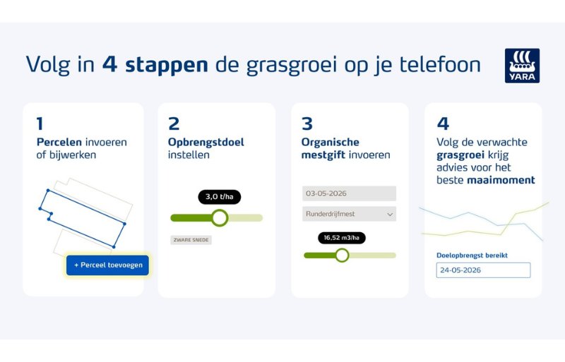 Volg in vier stappen de grasgroei