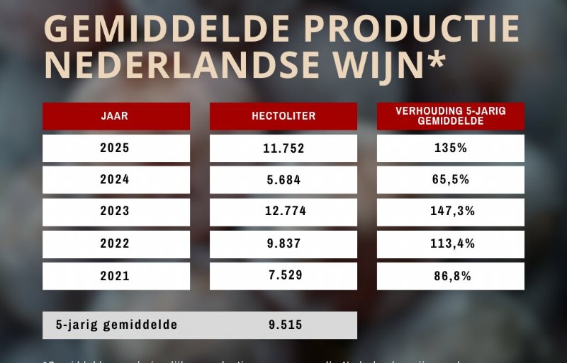 De Nederlandse wijnproductie lag in 2025 fors hoger dan in het jaar daarvoor.